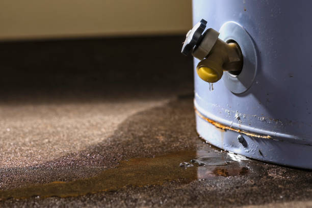 Best 24-hour water damage restoration  in Mission, KS
