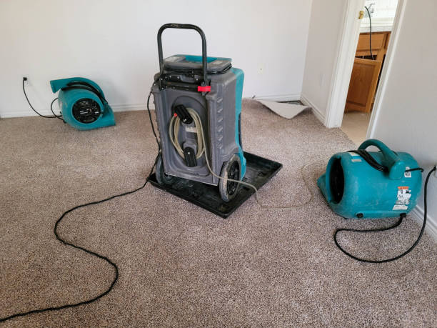 Best Flood restoration services  in Mission, KS