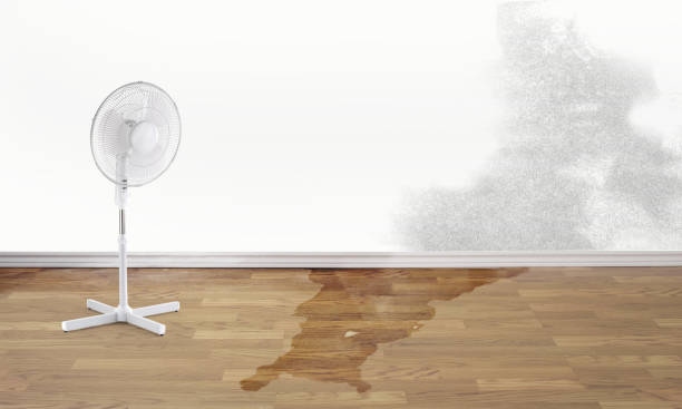 Water damage restoration experts in Mission, KS