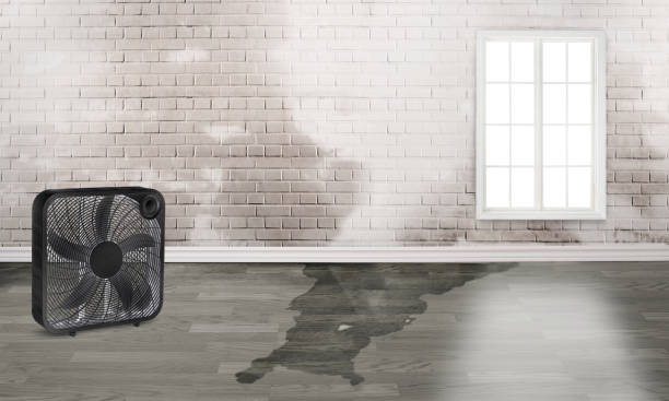  Mission, KS Water damage restoration Pros