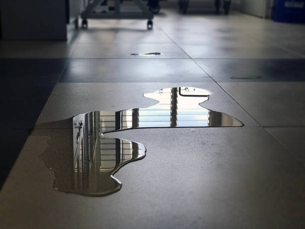 Best Water damage contractors near me  in Mission, KS