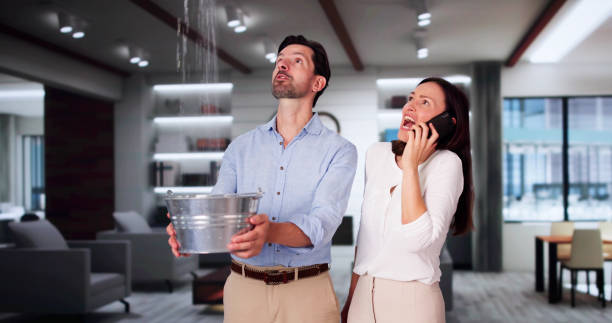 Best Water damage restoration near me  in Mission, KS