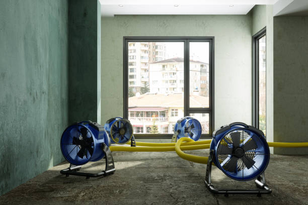 Best 24/7 water damage repair  in Mission, KS
